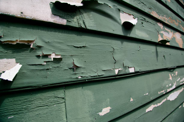 Best Commercial Junk Removal  in Salado, TX
